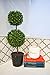Admired By Nature 18 Inch Artificial Boxwood Topiary Plants - 2 Ball-Shape Faux Topiaries with Planters for Home Decor, Office Desk, Front Porch Indoor and Outdoor - Green with Black Pot, 2 Pack