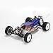 Team Losi 2WD Buggy Race Kit (1/10 Scale)