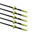 Bowfishing Arrow barb Grapple Point with Fiberglass Shaft(6 pack)
