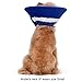 Alfie Pet by Petoga Couture - Candace Soft Recovery Collar (for Dogs and Cats) - Color: BluePlaid, Size: Small