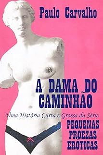 Livro A Dama do Caminhão: Uma História da Série Pequenas Proezas Eróticas