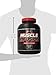 Nutrex Muscle Infusion Protein Blend, Chocolate, 5 Pound