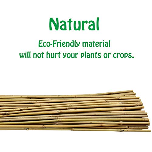 Mininfa Natural Bamboo Stakes 6 Feet, EcoFriendly Garden Stakes, Plant
