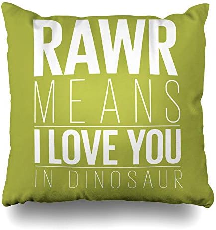 InnoDIY Throw Pillow Covers Rawr Means I Love You in Dinosaur Pillowslip Square Size 18 x 18 Inches Cushion Cases Pillowcases