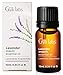Gya Labs Organic Lavender Essential Oil for Diffuser - 100% Pure Natural Organic Lavender Oil for Hair & Skin, Aromatherapy for Relaxation - Self Care (0.34 Fl Oz)