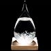 Graces Dawn Glass Weather Forecast Glass Bottle Cool Stylish Modern Decoration (Including) the beautiful wooden base