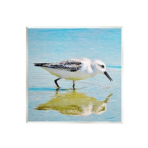Stupell Industries Grazing Sandpiper in Water Wall Plaque Art Design by Graffi*…
