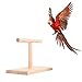 foreverwen Bird Cage Stand Parrot Perch Training Stands Playstand Playgound Play Gym for Concures Parakeets Lovebirds Cockatiels,Office Wooden Stand Bird Bite Toy Springboardthumb 2