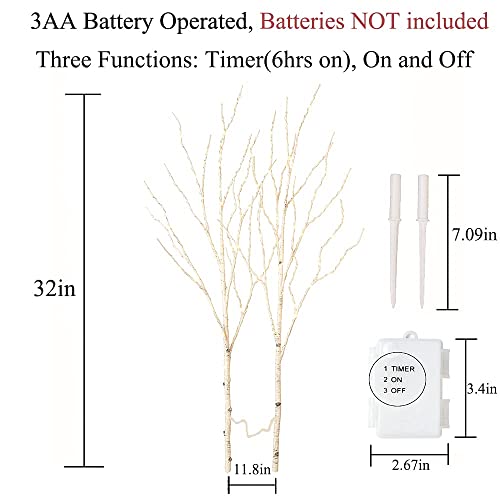 Hairui Lighted Artificial Twig Birch Tree Branch With Fairy Lights 32IN