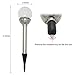 Twinkle Star Solar Lights (3 Pack Globe Lights)