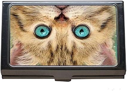 ステンレス鋼の名刺入れ 男性と女性のための動物のユーモア猫名刺ケース 名刺ケース 整理箱 文房具 オフィス用品 Amazon