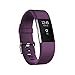 POY Replacement Bands Compatible for Fitbit Charge 2, Classic & Special Edition Sport Wristbands, Small Plum, 1PC