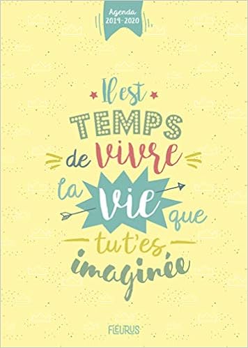 Agenda 19 Il Est Temps De Vivre La Vie Que Tu T Es Imaginee Agendas French Edition Chataignon Laure Amazon Com Books