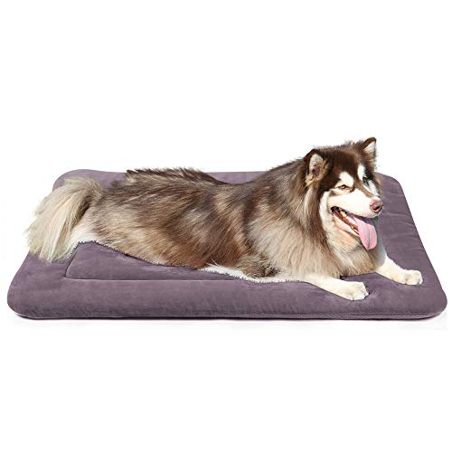 JoicyCo Extra Large Dog Bed Crate Pad 48 in Washable Soft Pet Beds Dog