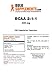 BULKSUPPLEMENTS.COM BCAA 2:1:1 (Branched Chain Amino Acids) - BCAA Capsules - Vegan BCAA - BCAAs Amino Acids - BCAA Pill - Amino Acid Nutritional Supplements (100 Vegetarian Capsules - 33 Servings)