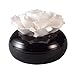 Ceramic Flower Aromatherapy Diffuser