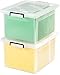 IRIS Letter and Legal Size File Box with Buckle, Clear