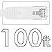 TBMax Cat6 Ethernet Cable 100ft with RJ45 Connectors, Cable Clips & Labels - 100 Feet Long Flat Network LAN Cable for Computer/Router -White