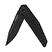 Kershaw Fraxion Folding Pocket Knife (1160) Lightweight, Contemporary 2.75 In. 8Cr13MoV Stainless Steel Blade With G10 Handles, Inset Liner Lock And Reversible Pocket Clip; 1.9 oz.
