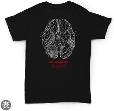 Amazon コープスパーティー 如月学園 如月祭 後夜祭 イベントｔシャツ サイズ L アニメ 萌えグッズ 通販