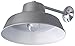 Canarm BL14CWS All Weather 1-Bulb Ceiling or Wall Mount All Weather Light with Clear Glass Globe, Grey Medium