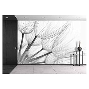 Extreme Close-Up of Dandelion Black White, Shallow Dof - Removable Wall Mural | Self-Adhesive Large Wallpaper - 66x96 inches