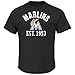 VF LSG MLB Men's Short Sleeve Crew Neck Fearsome History Tee Program