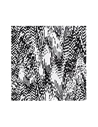 Colorado Clothing Women's Tranquility Skort