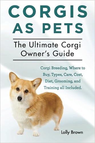 abandoned animal rescue