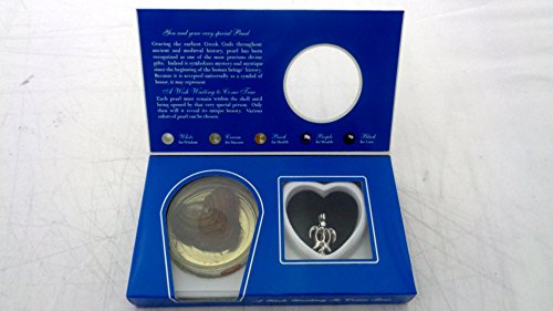 1 Neclace+Pendant+Cultured+Stainless+Turtle