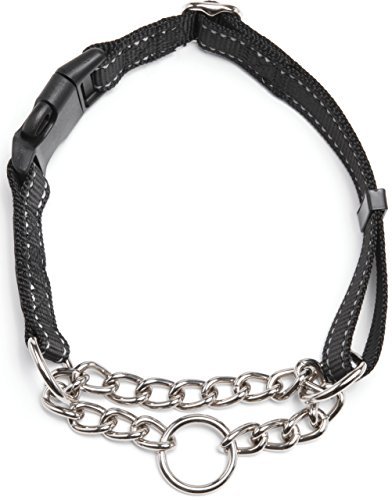 Friends Forever Martingale Collars for Dogs, Reflective No Pull Dog Collar for Training Large/Medium - //medicalbooks.filipinodoctors.org