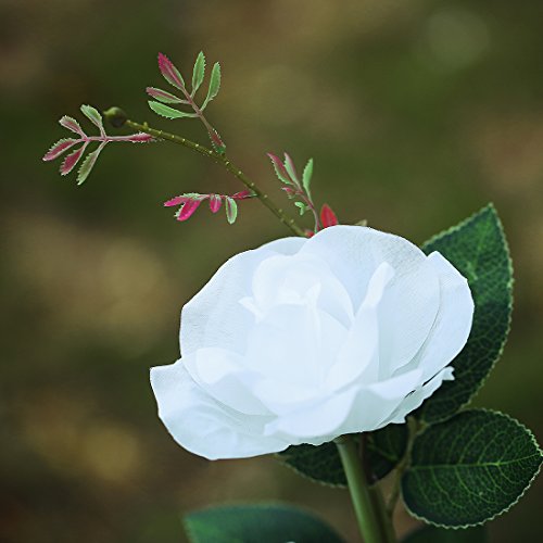XLUX Outdoor Solar Powered Rose Lights Flower Stake, for Garden Patio Yard Christmas Pathway Decoration, White
