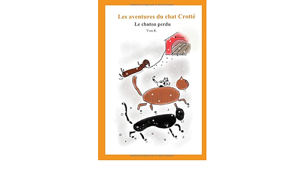Le Chaton Perdu Les Aventures Du Chat Crotte French Edition R Yves Amazon Com Books