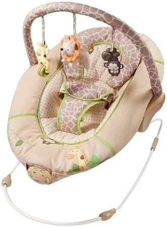 carter's bouncer seat safari friends