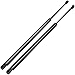 ECCPP Lift Support Liftgate Replacement Struts Gas Springs Fit For Chevrolet Trailblazer EXT 2002-2006,For GMC Envoy XL 2002-2006,For Isuzu Ascender 2003-2005 Set of 2