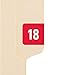 ETS Color-Coded Year Label, 2018, Label Sheet, Red, 250 per Pack (67918)