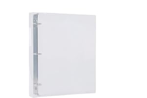 Filexec Products 1-Inch 3 Ring Binder, D Ring, Clear, Pack of 2 (50301-62223)