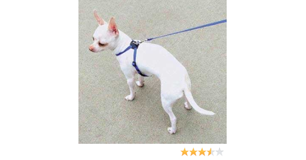 lil pals harness medium