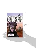 Front cover for the book Caesar the war dog by Stephen Dando-Collins