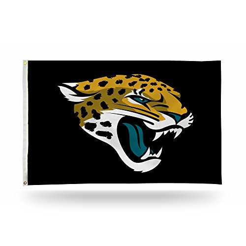Rico Industries NFL Football Green Bay Packers Green 3 x 5 Banner Flag