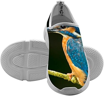 Bird Kids Free Sports Shoes 2018 Fashion Running Shoes For Boys 9 B(M)