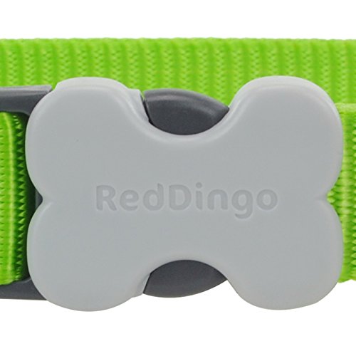 Red Dingo Classic Lime Green Dog Collar, Small/12mm