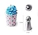 TANGCHU Ball Russian Piping Tips Set 2PCS/SET Tulip Stainless Steel Sphere Cream Icing Piping Nozzles DIY Baking Tools Small Torch for Decoration Cupcake Buttercream