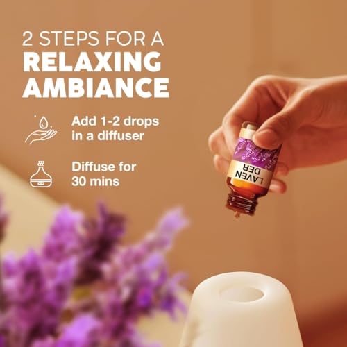 View 7