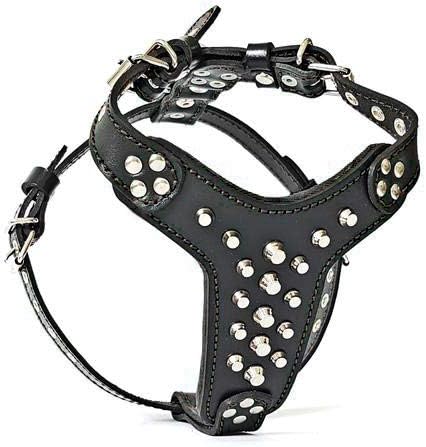 BestiaStudded Leather Harness. Bullterrier Size. 100% Leather. Handmade in Europe
