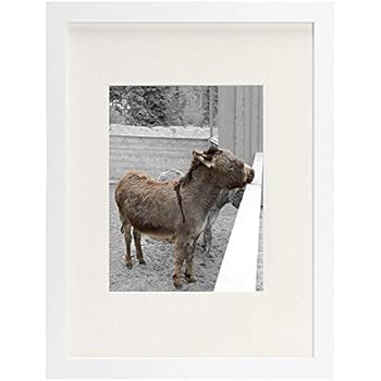 Golden State Art, 12x16 Picture Frame - Matted to Fit Pictures 8.5x11 Inches or 12x16 Without Mat (White)