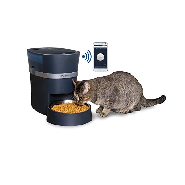 petsafe smart feeder