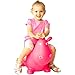 NDN LINE Bouncy Animal, Bouncy Horse Inflatable with Pump