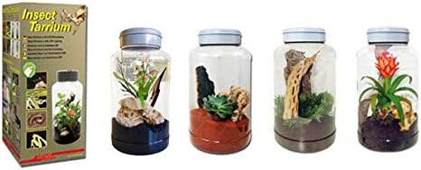 Lucky Reptile IT-5 InsectTarrium, 5 Litre, transparent - Image 3