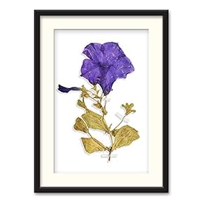 NWT Black Paper Framed Canvas Wall Art for...